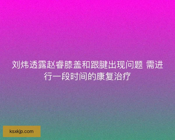 刘炜透露赵睿膝盖和跟腱出现问题 需进行一段时间的康复治疗