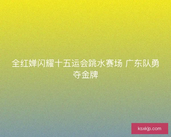 全红婵闪耀十五运会跳水赛场 广东队勇夺金牌
