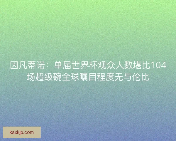 因凡蒂诺：单届世界杯观众人数堪比104场超级碗全球瞩目程度无与伦比
