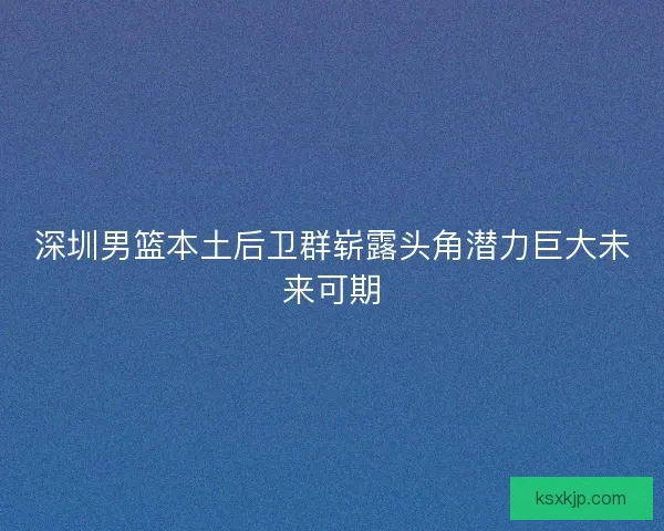 深圳男篮本土后卫群崭露头角潜力巨大未来可期